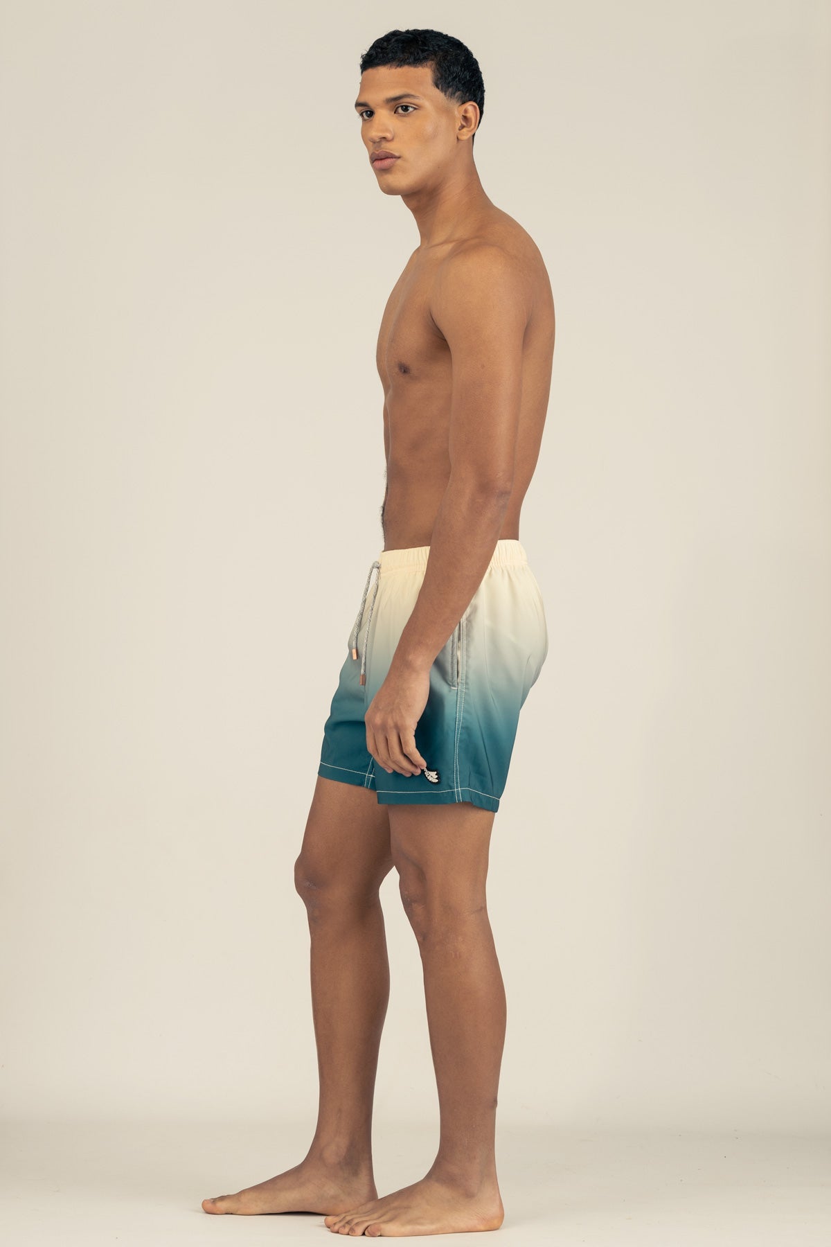 Classic Swim Trunks in Gradient