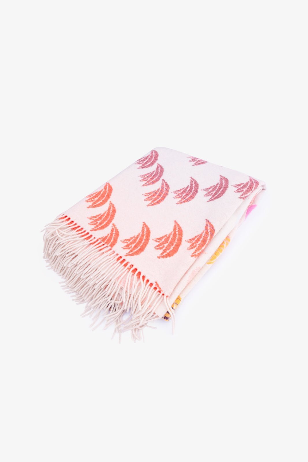 Banana Rainbow Wool Cashmere Scarf