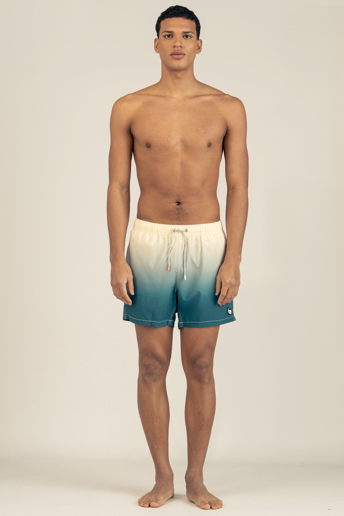 Classic Swim Trunks in Gradient