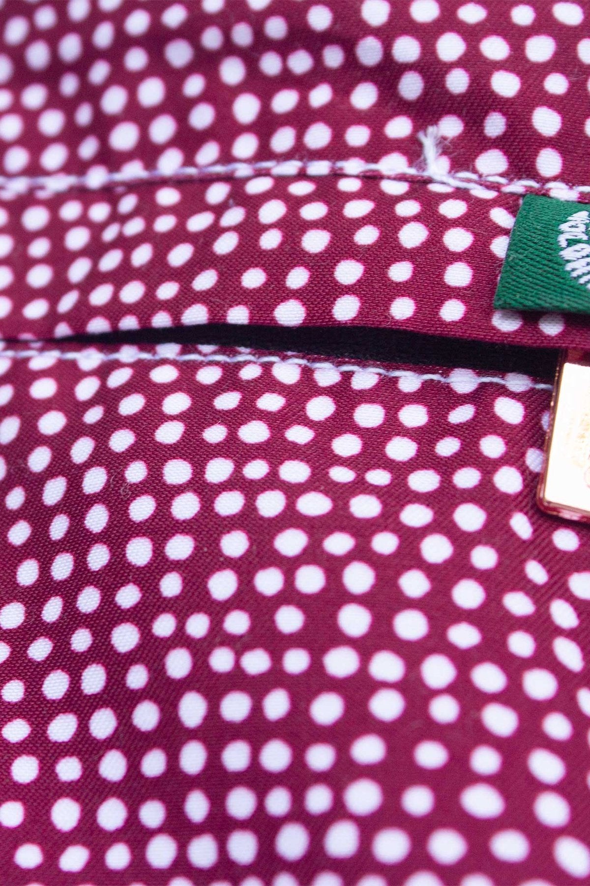 Burgundy Dots Classic Swim Trunks - Polonio